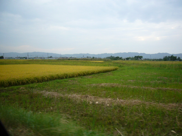 a0116902_2234932.jpg