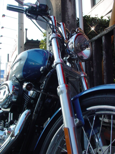 HD XL 1200C (スポーツスター　１２００　カスタム）_a0123808_16355162.jpg