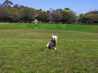 c0201910_1693075.jpg