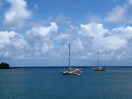 a0043520_21151290.jpg