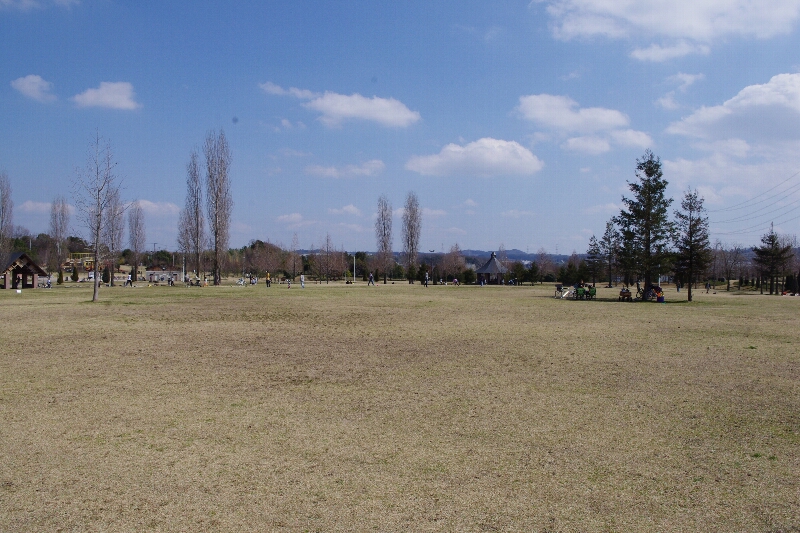 c0113733_018981.jpg