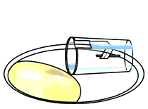 b0150335_23423051.gif