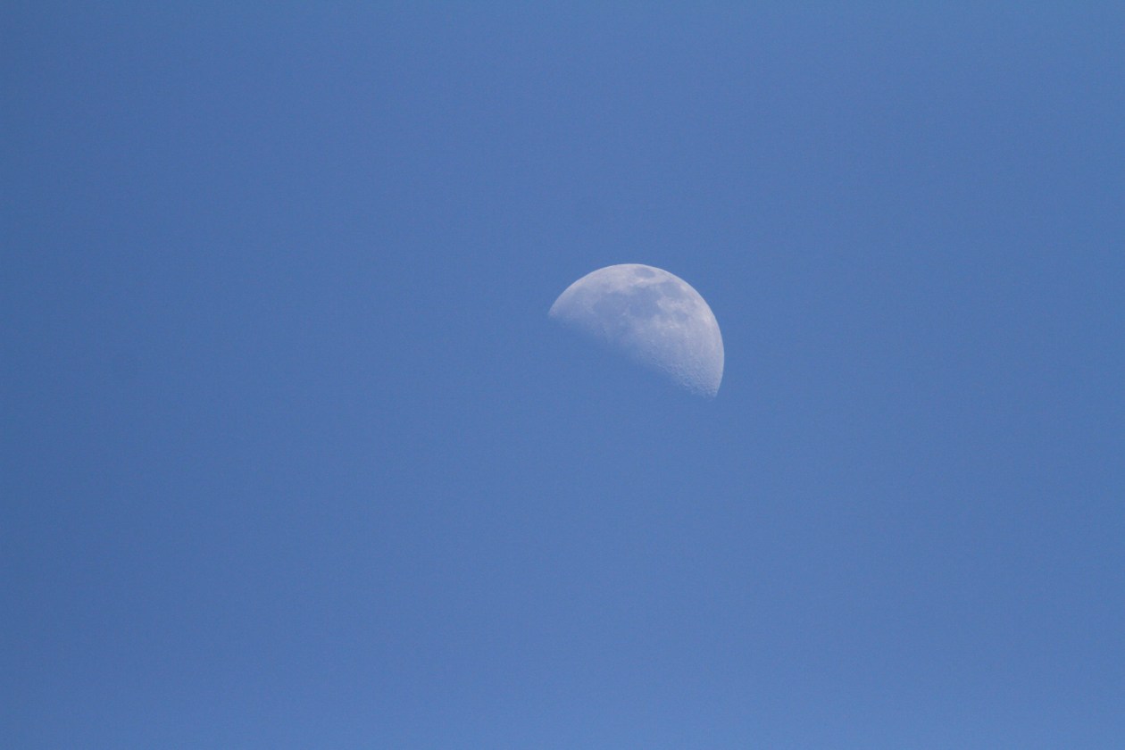 c0172139_9224461.jpg