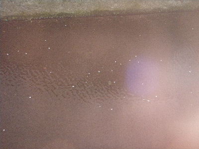 a0054240_2135556.jpg