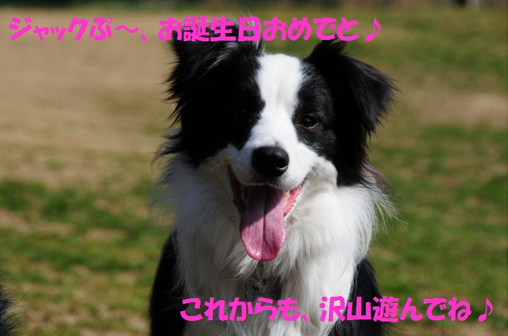 c0147241_21512410.jpg