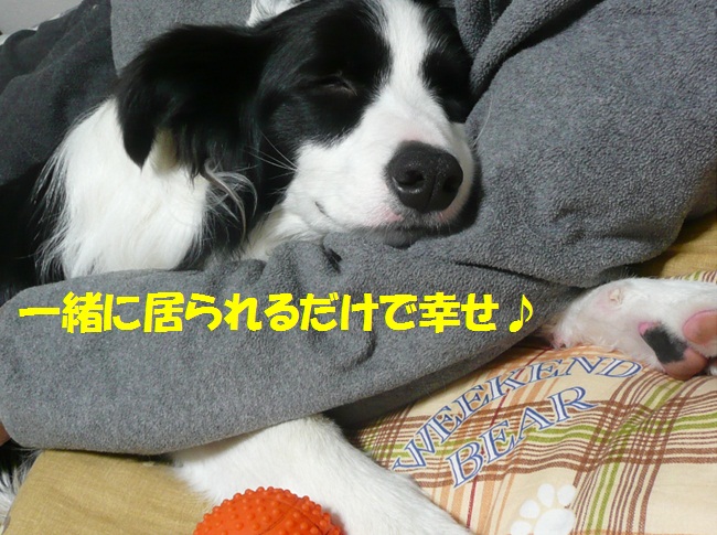 c0147241_21512688.jpg