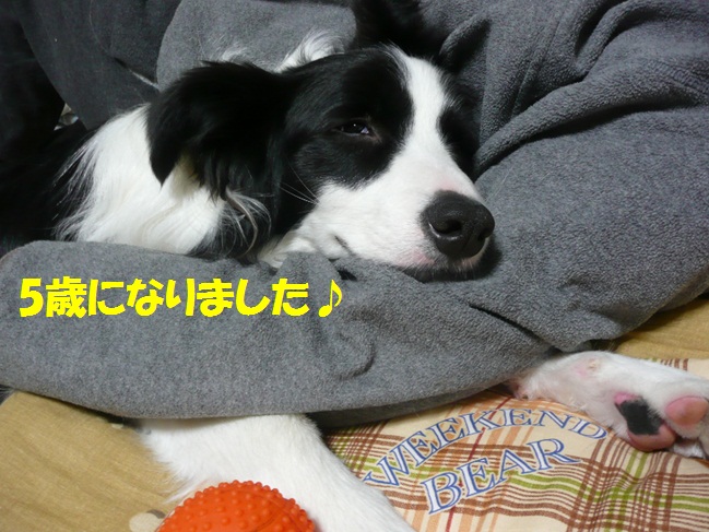 c0147241_21512827.jpg