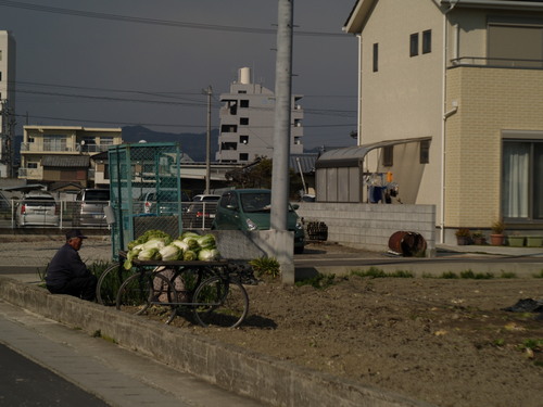 b0157942_1022593.jpg
