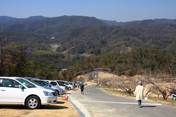 d0198442_2151887.jpg