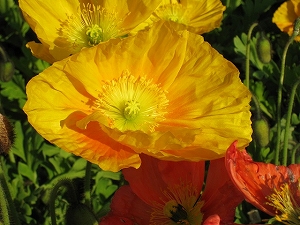 e0228147_2221183.jpg