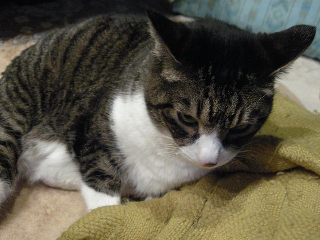 c0080861_7353640.jpg