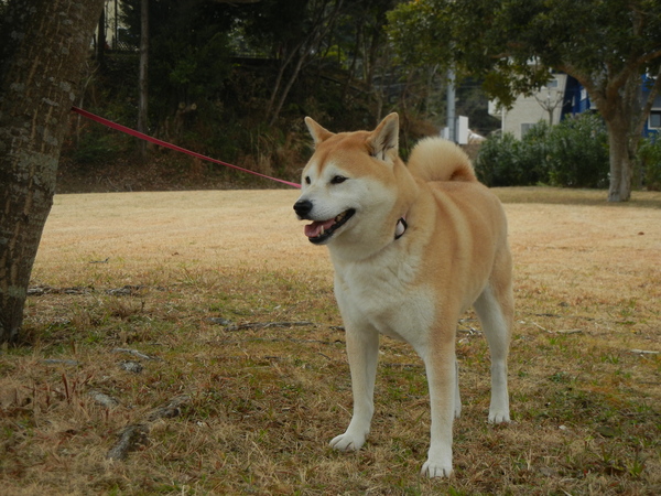 2011年3月14日(月)大震災から4日目!_f0060461_154891.jpg