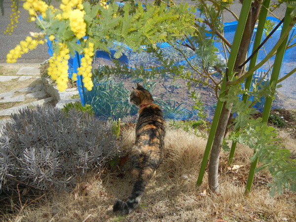 2011年3月14日(月)大震災から4日目!_f0060461_1563964.jpg