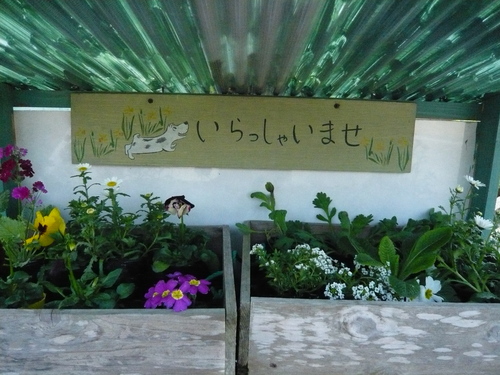 花かごしま２０１１_b0137969_17325797.jpg