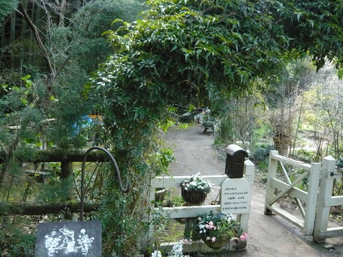 花かごしま２０１１_b0137969_17472988.jpg