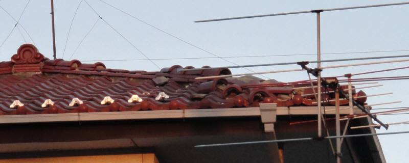 f0059673_1423814.jpg