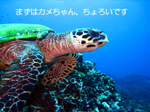 シミランクルーズ3泊4日_f0144385_14145944.jpg