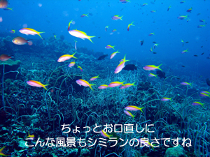 シミランクルーズ3泊4日_f0144385_14152890.jpg
