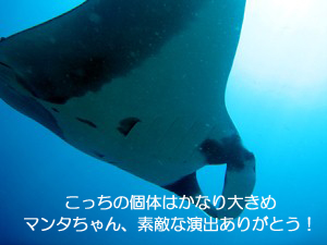 シミランクルーズ3泊4日_f0144385_1421501.jpg