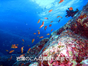 シミランクルーズ3泊4日_f0144385_149730.jpg