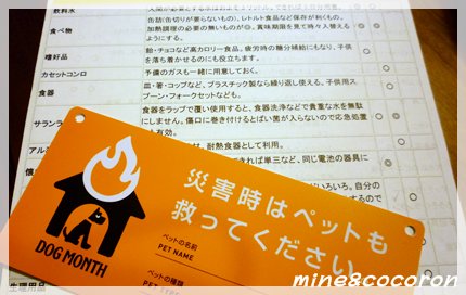 備える_a0053987_22132450.jpg