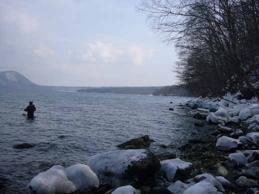 a0118989_23115471.jpg