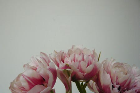 a0188795_17481099.jpg