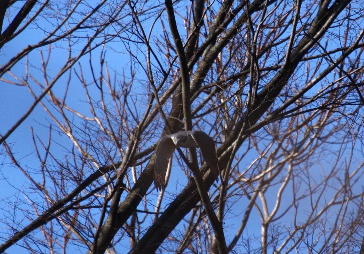 e0167295_210970.jpg