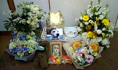 a0013905_0461215.jpg