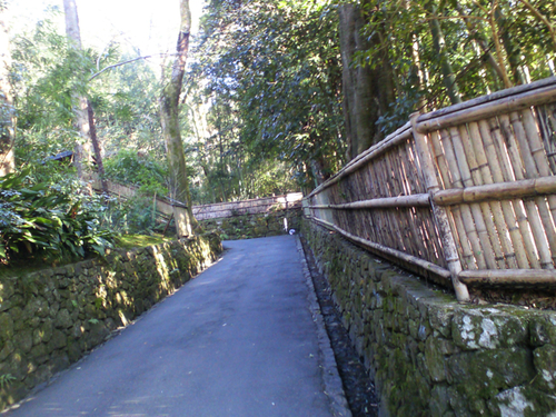 音楽一期一会 in 法然院 〜音に託す希望のリレー_d0077106_6562314.jpg