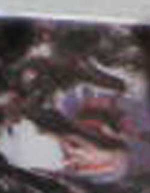 e0103408_13281446.jpg