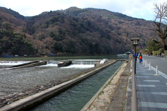 嵐山　亀山公園　絶景_e0048413_21384620.jpg