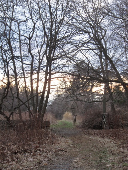 c0120817_1356576.jpg