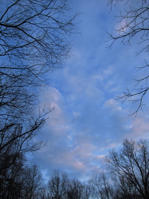 c0120817_1358315.jpg