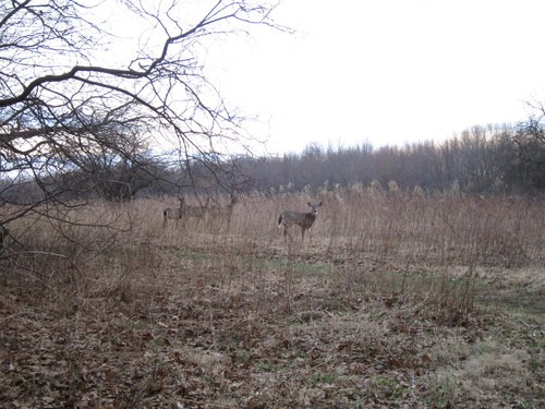 c0120817_1472880.jpg