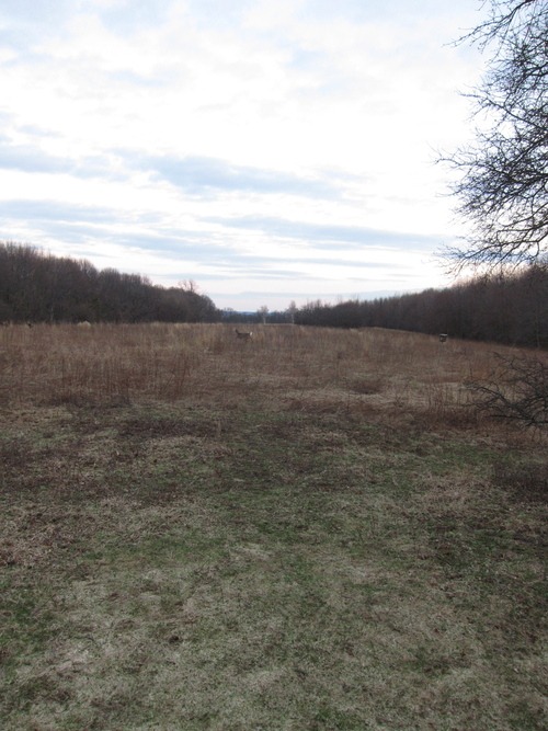 c0120817_149920.jpg