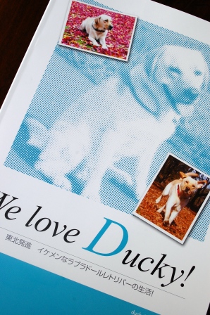 やっぱり会いたくて^^_d0104926_235698.jpg
