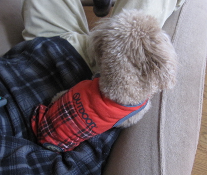 c0122744_1729240.jpg