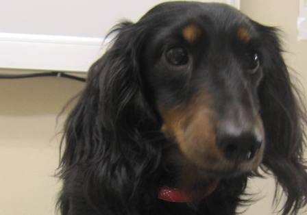 3月15日の写真_c0174644_11574892.jpg