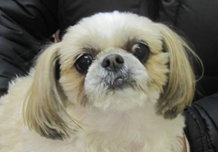 3月15日の写真_c0174644_1211542.jpg