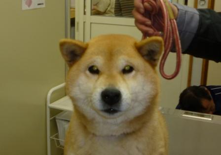 3月15日の写真_c0174644_20275291.jpg