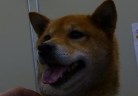 3月15日の写真_c0174644_20275939.jpg