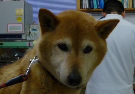 3月15日の写真_c0174644_2028753.jpg
