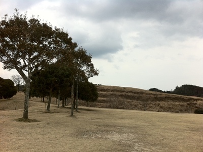 c0215352_14381139.jpg