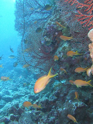 c0180460_18161399.jpg