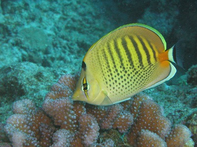 c0180460_18172855.jpg