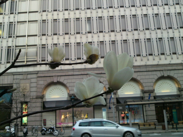 c0151762_1346480.jpg