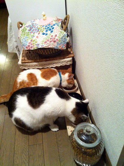 私たちがんばろう_e0158970_1341164.jpg