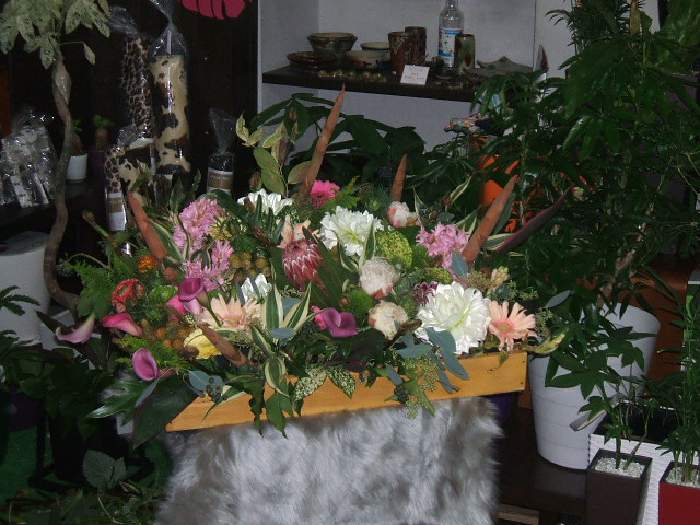 f0222071_1431361.jpg