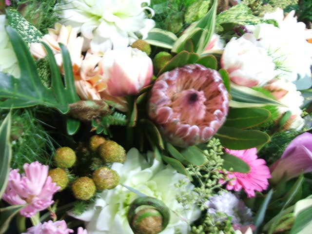 f0222071_1435214.jpg